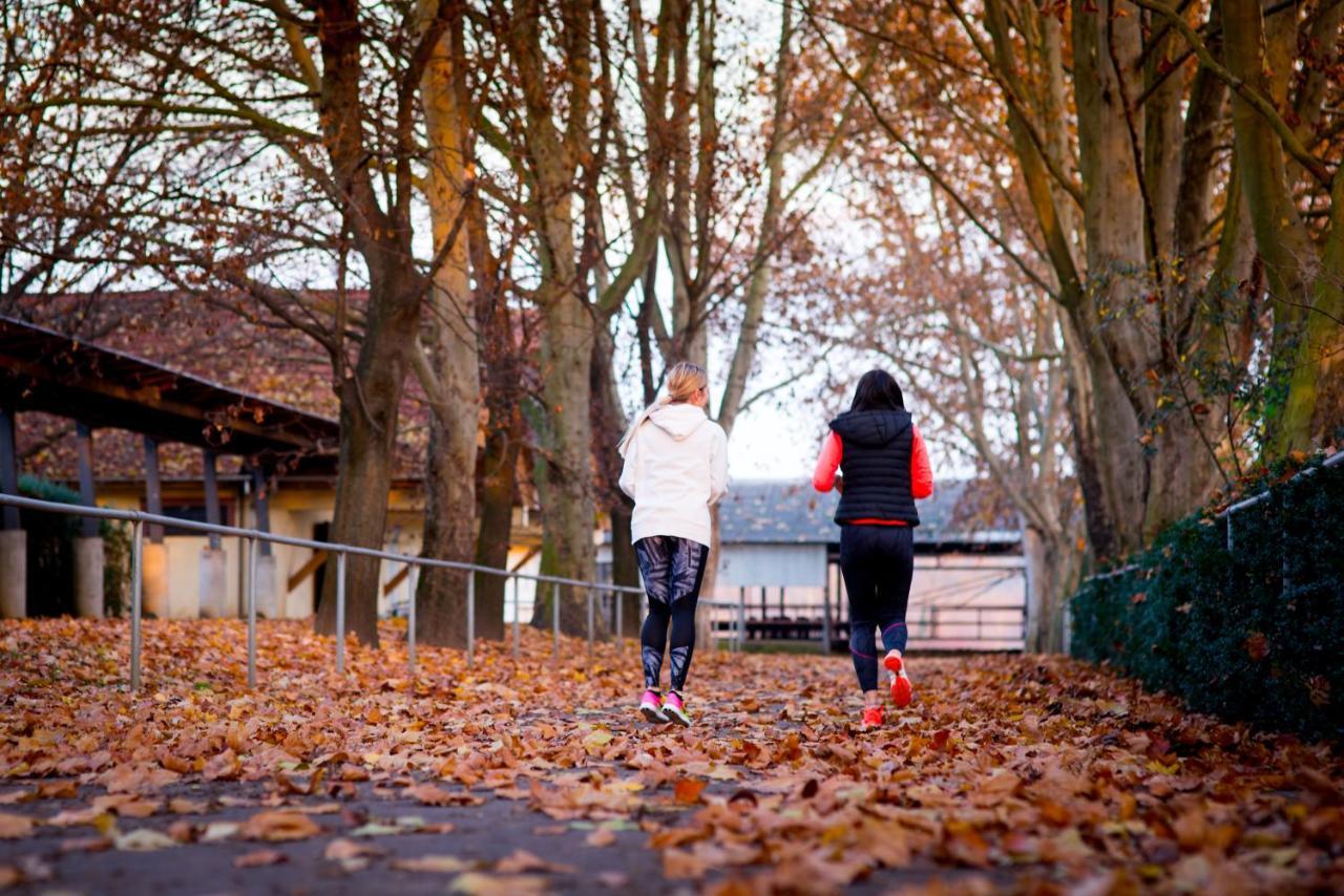 Hotel Pagony Wellness Nyíregyháza Dış mekan fotoğraf